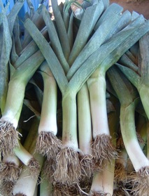 leeks