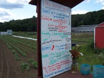 Checking the list at the kiosk