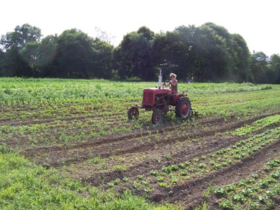 Notes from the Field