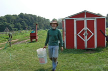 Jim Dailey, a workshare who is caring for our perennial garden.