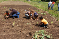 Notes from the Field