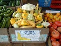 summer squash