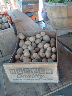 potatoes at pickup
