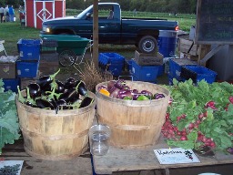 eggplant at pickup