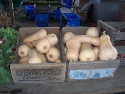 butternut boxes