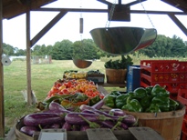 vegetables ready for pickup
