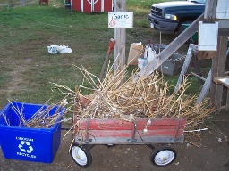 red wagon of garlic