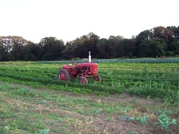 tractor in fields