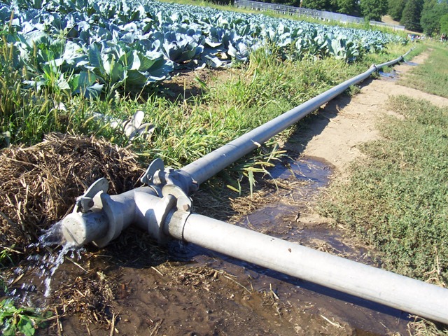 irrigation pipe