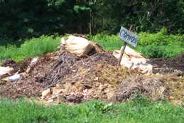 compost pile